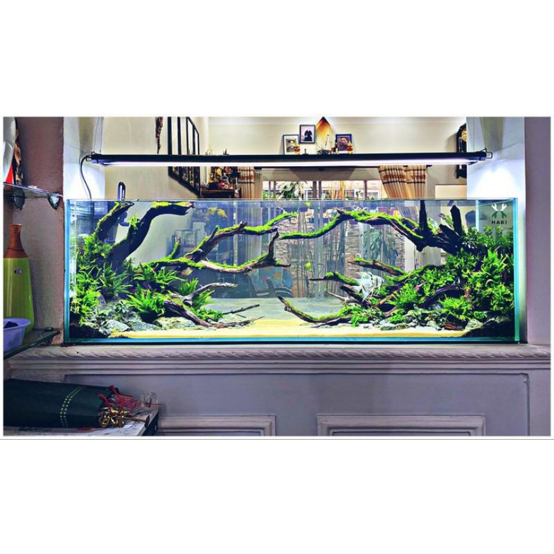 HARDSCAPE DISCUS AQUARIUM AQUASCAPE HIASAN AQUARIUM AQUASCAPE ELEGAN AQUARIUM AQUASCAPE DARKNESS AQU