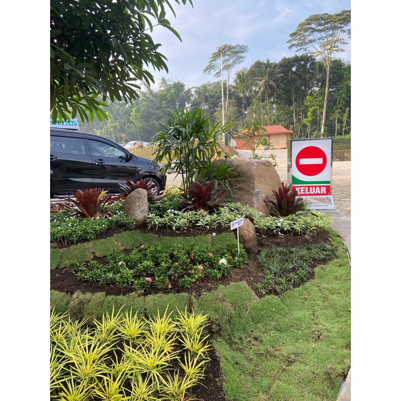 Jasa Pembuatan Taman | Taman Rumah | Taman Outdoor | Taman Indoor | Taman Rumah Minimalis