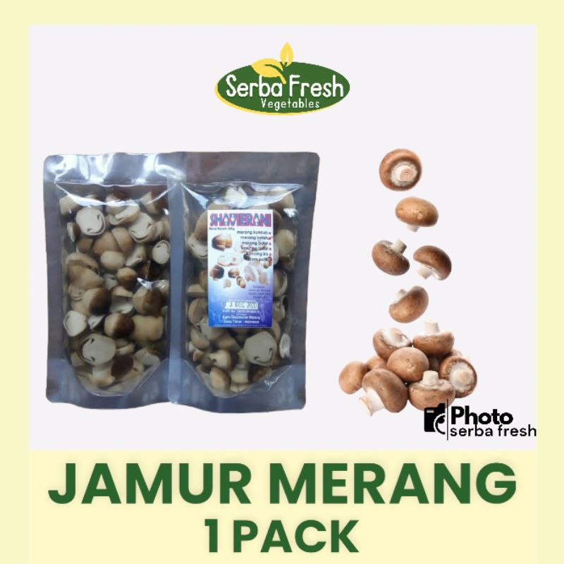 

JAMUR MERANG | 1 PACK | SERBA FRESH