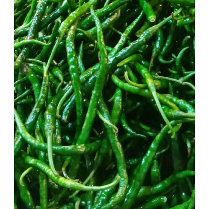 

Cabe keriting hijau cabe hijau keriting