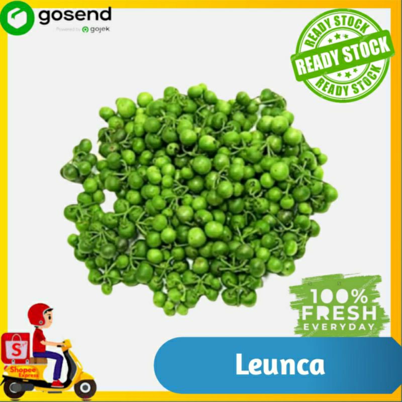 

leunca / lenca