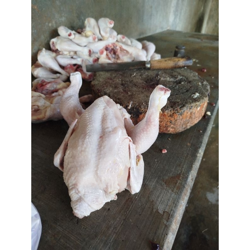 

daging ayam kampung/potong