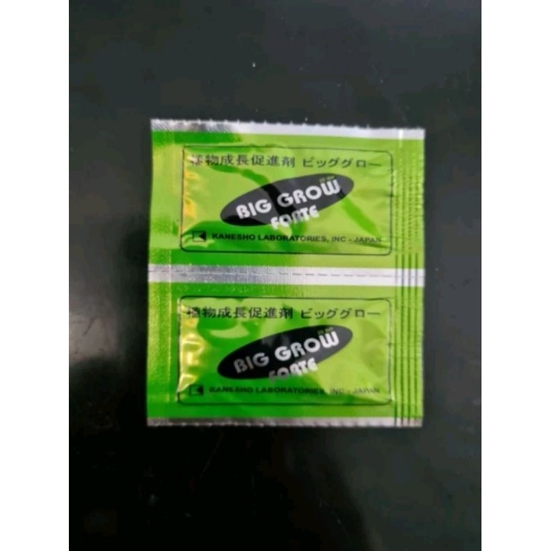 Pupuk ZPT Big Grow Forte 20WP sachet 1gr Obat Biggrow Pembesar Tanaman Buah GA3