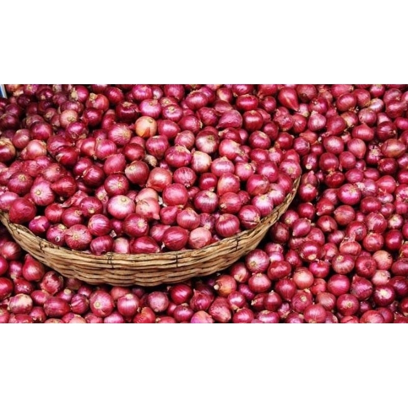 

Bawang Merah Garing Sriing 250gram, 500gram, 1000gram, TJAGRO