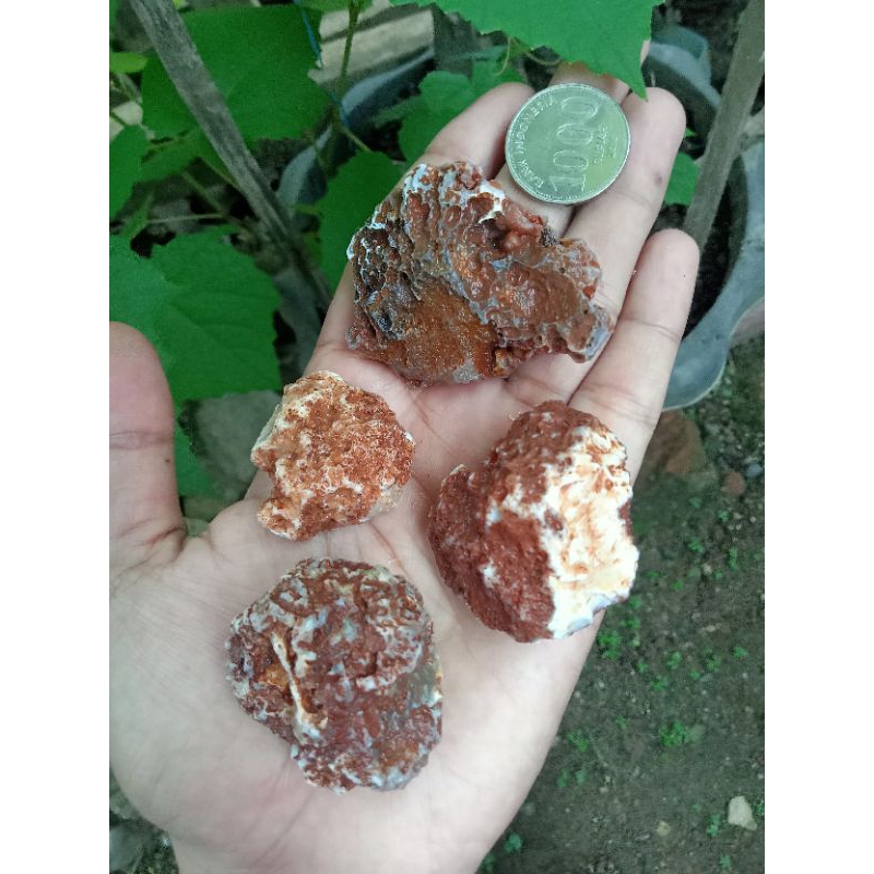 ✅ 4 pcs Batu Lavender Baturaja ( Rough / Bahan Batu Akik Natural asli Suliki - bukan bacan obi fire 