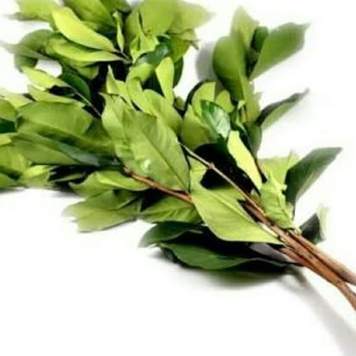 

Daun Salam 1 Ikat Segar Bumbu Dapur Fresh