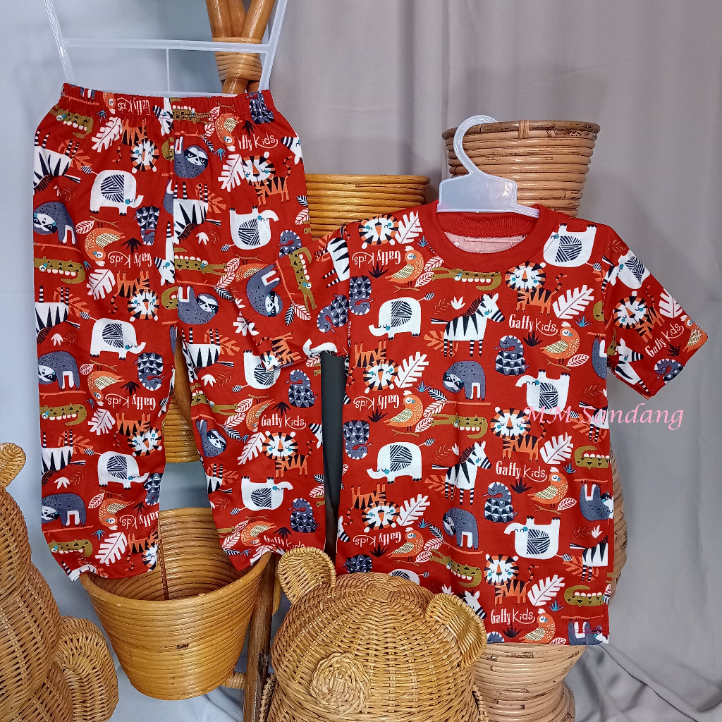 Setelan CP Anak Motif Zebra Gaffy Kids Lengan Pendek Celana Panjang