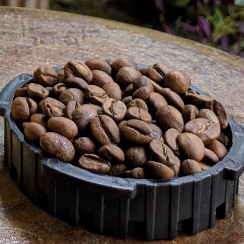 

Roasted beans arabica
