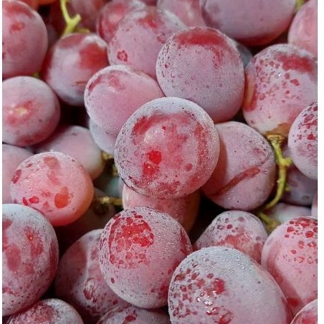 

Anggur Red Globe Fresh Pack