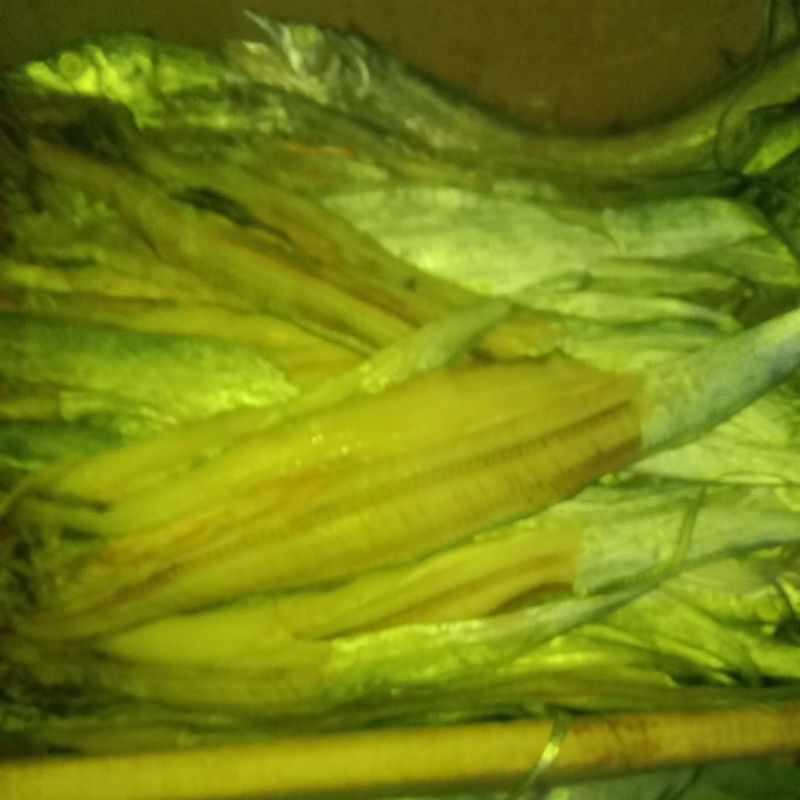 

ikan asin