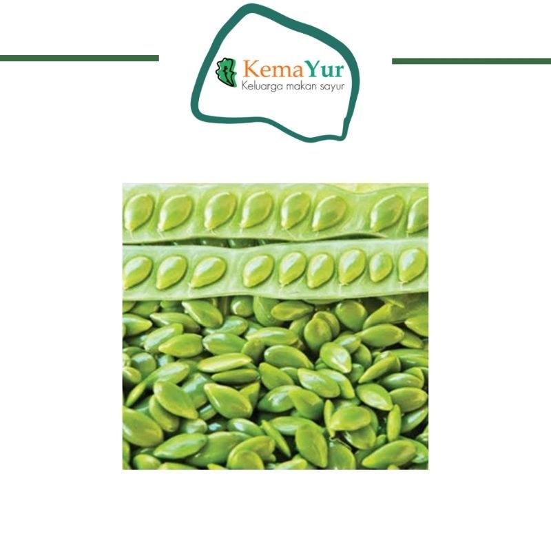 

PETAI CINA PACK LAMTORO