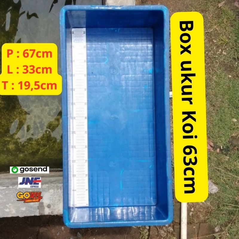 BAK UKUR IKAN KOI 63cm + STIKER UKUR ANTI  AIR   67x33x19cm BAHAN PLASTIK BOX IKAN KURA REPTIL