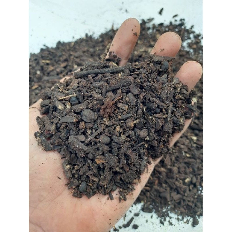 klenteng sangrai/oven / kompos klenteng randu sangrai / media tanam klenteng sangrai / kompos randu 