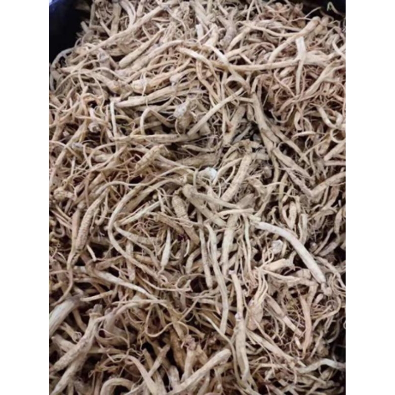 

Akar Ginseng Premium / Yang Shen Xu / Yio Som Chiu 人参须 10 GRAM