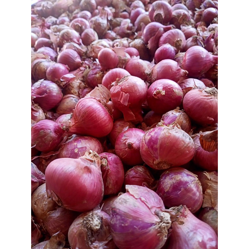

Bawang Merah Brebes