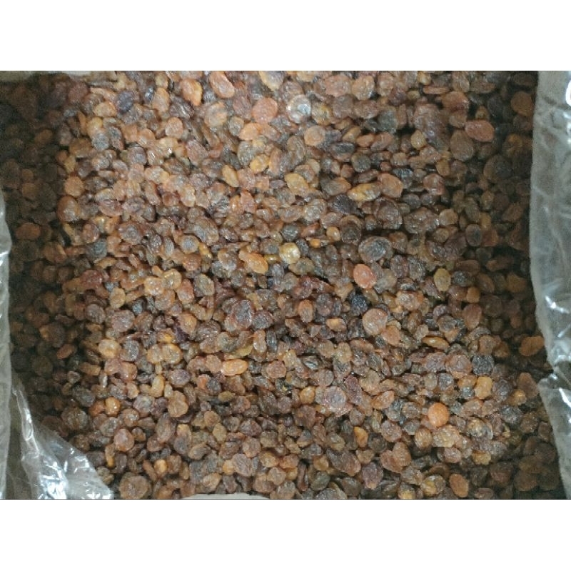 

Kismis Samin 10Kg