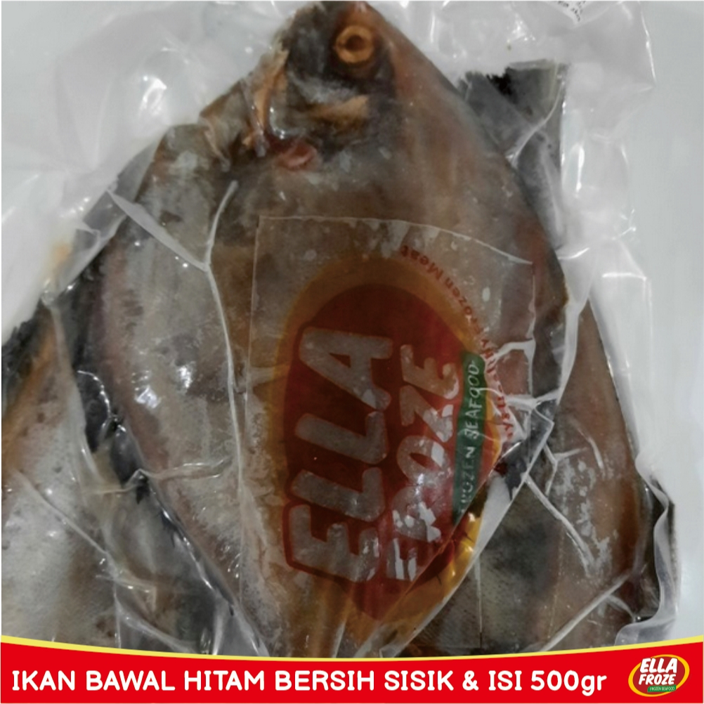 

Ikan Bawal Hitam Bersih Sisik & Isi 1/2 Kg