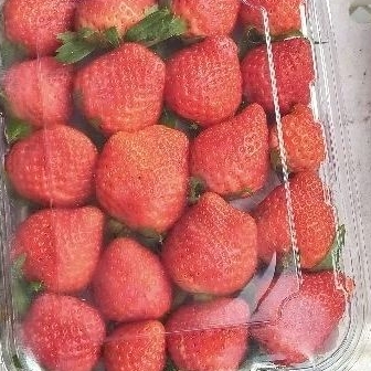 

Buah strawberry 500 gr/pack