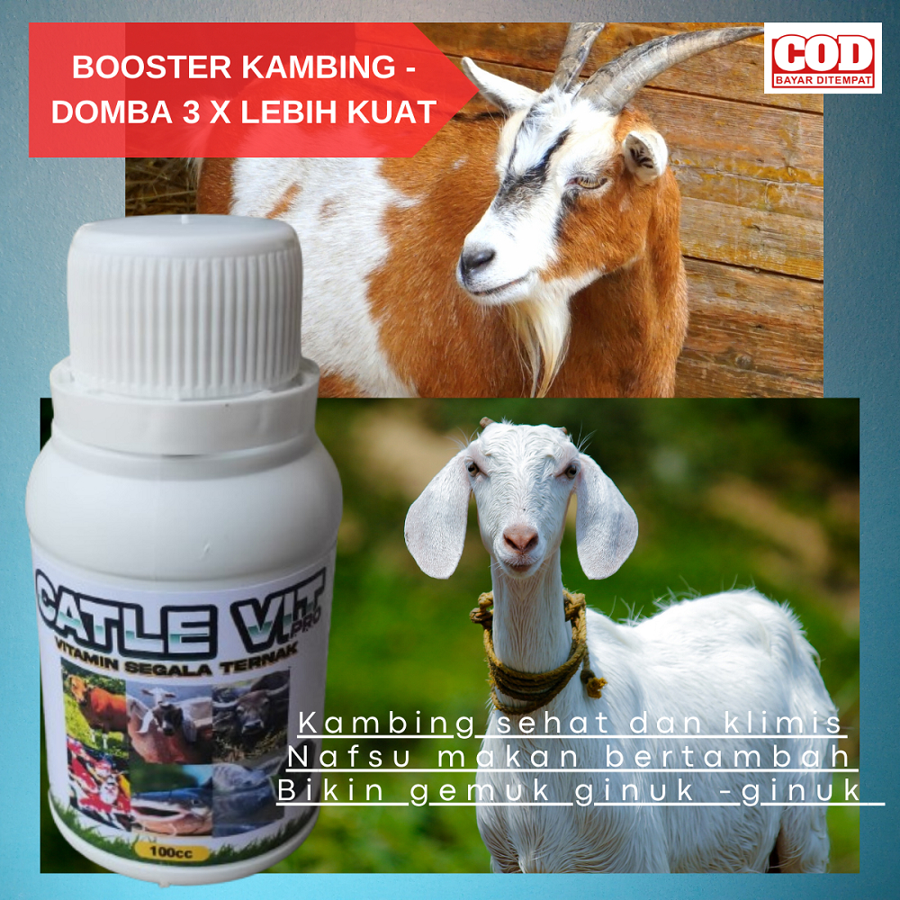 Vitamin Penggemuk kambing Domba Booster Penggemuk kambing Domba Vitamin Nafsu makan kambing Domba
