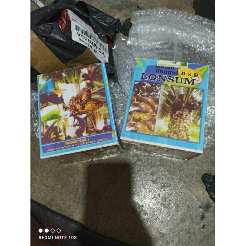 bibit kelapa sawit unggul lonsum