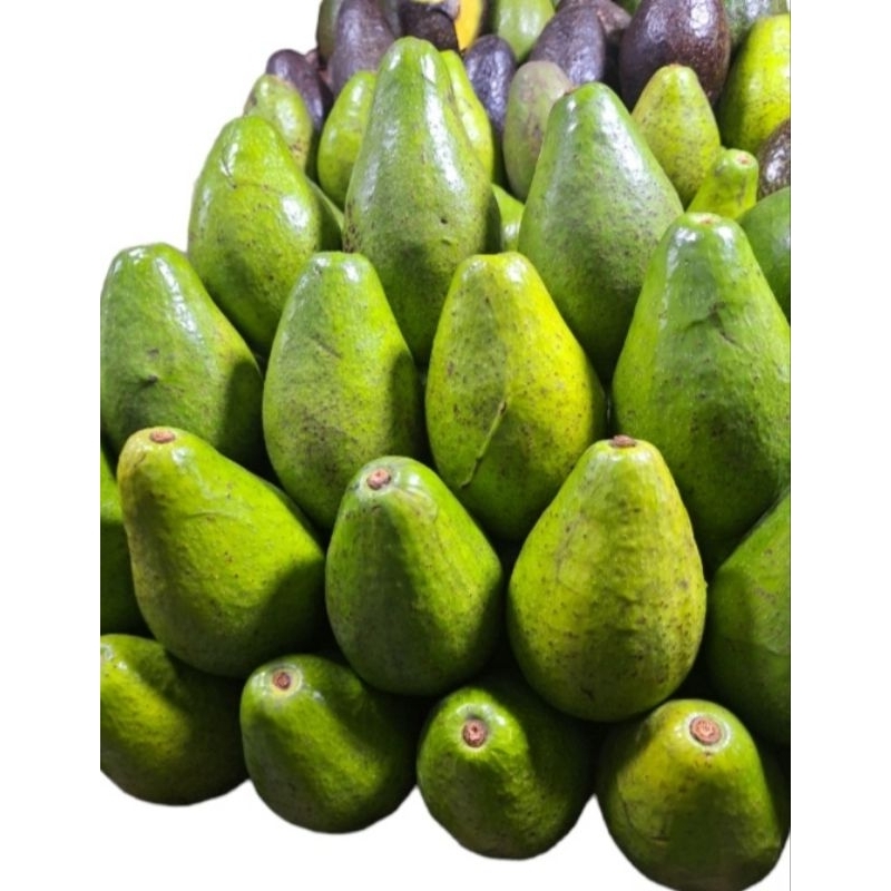 

Alpukat mentega premium