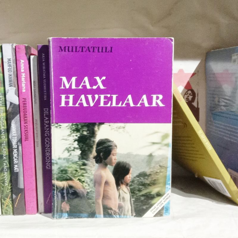 Max Havelaar | Multatuli | Rumah Janda | Kartini Sjahrir | Lust For Life | Irving Stone | The Dante 