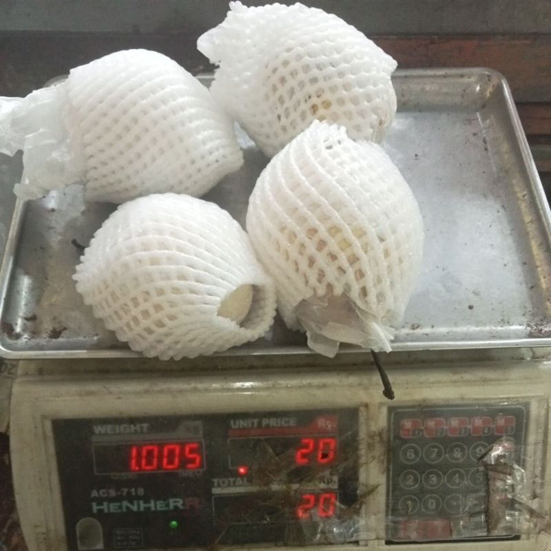 

Buah Import Pear Ya lie / Pir Ya'li Import / Buah Pir