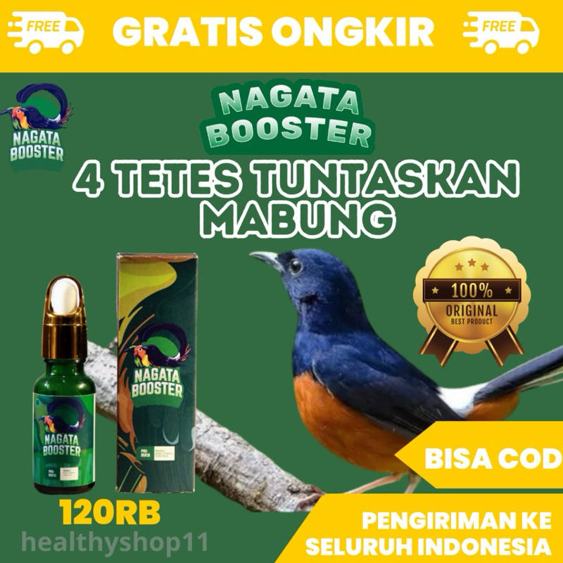 Nagata booster vitamin burung murai cepat mabung