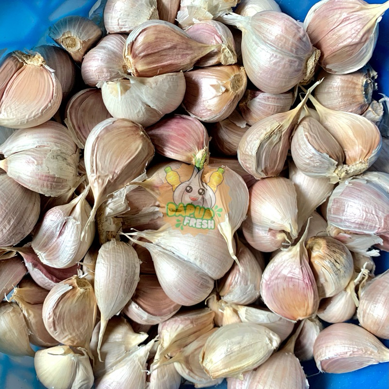 

Bawang Putih 1Kg Bersih