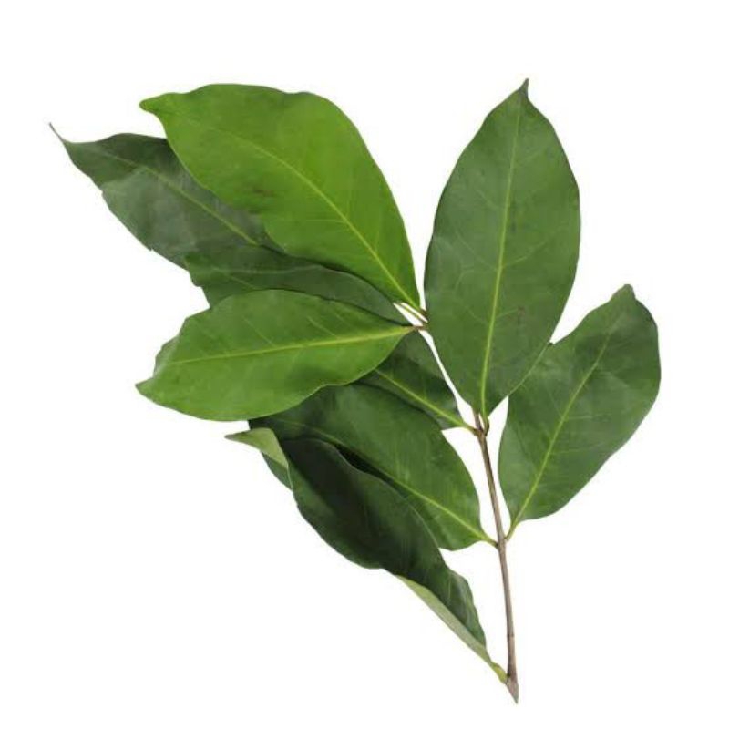 

DAUN SALAM PER PACK