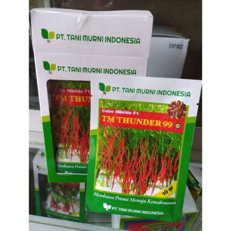bibit cabe tm thunder (10gr)