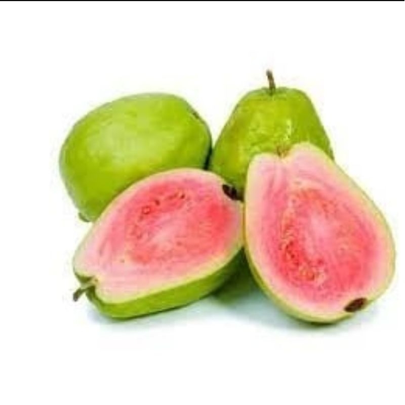

Jambu Biji Merah Buah Segar Cirebon Kuningan Majalengka