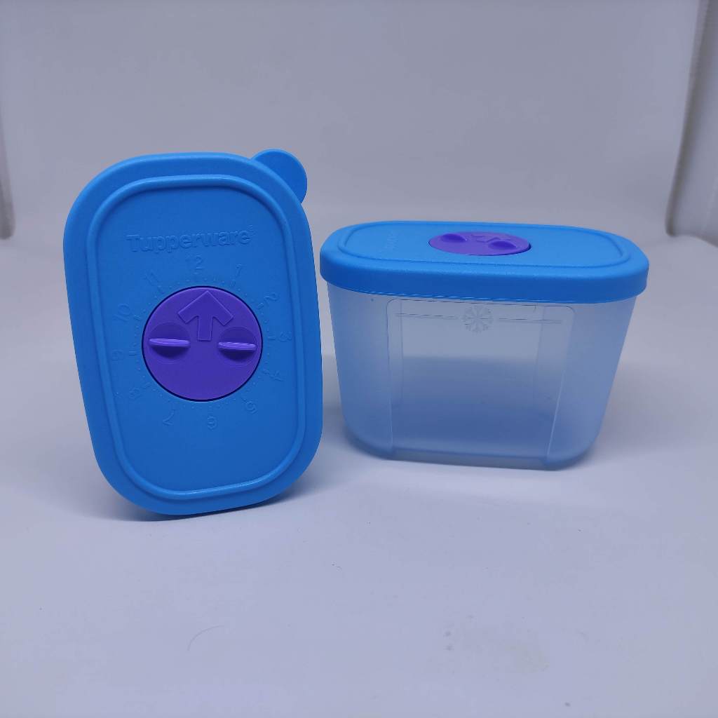 Tupperware Mini Freezermate with dial 2Pcs Kotak Tempat Simpan Daging Makanan Beku Freezer