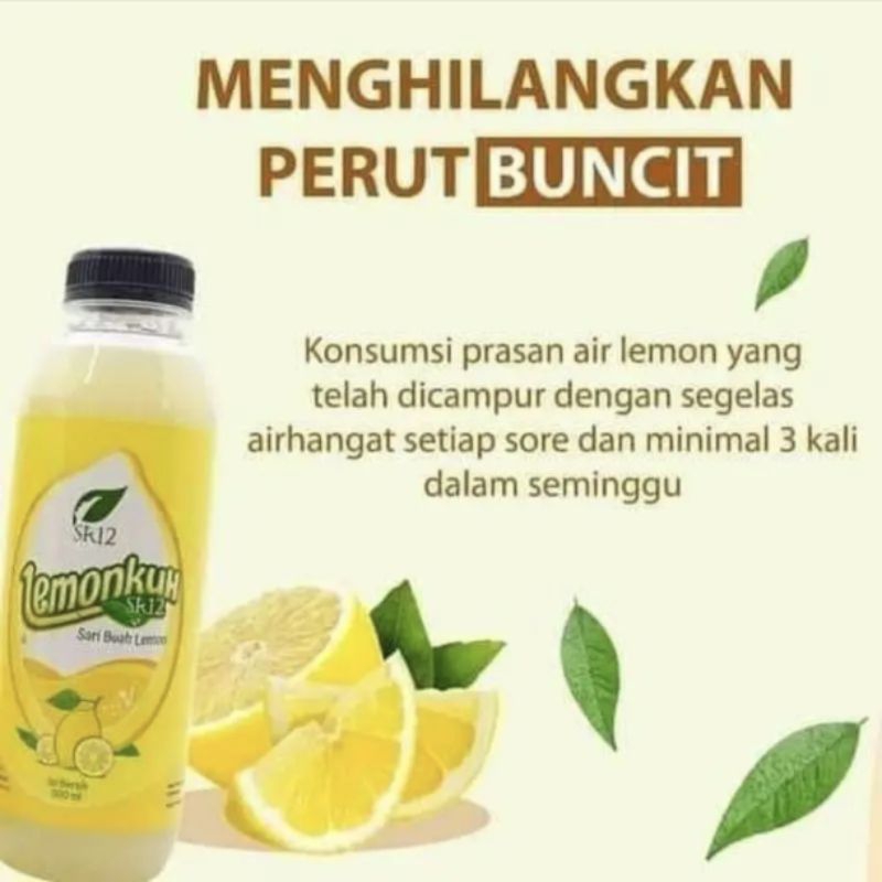 

SR12 Lemonkuh