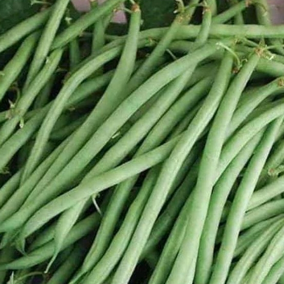 

Sayur buncis segar