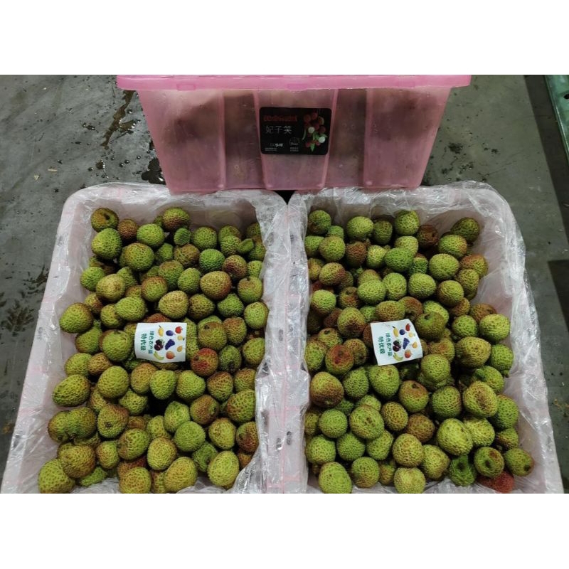 

Leci Hijau 5kg