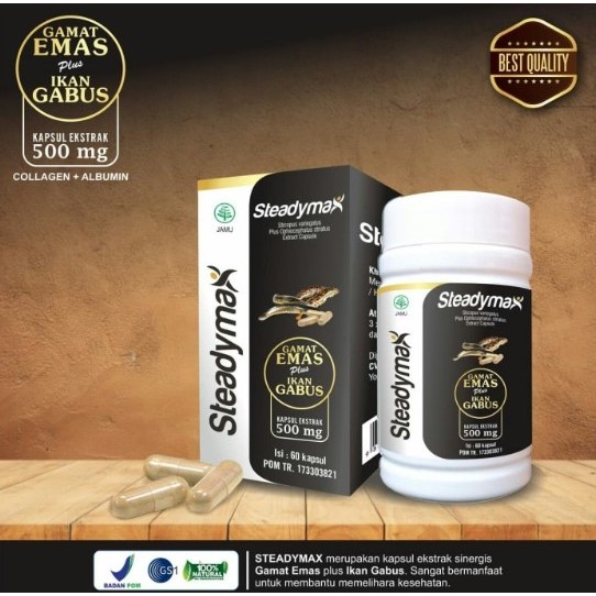 Steadymax kapsul ekstrak ikan kutuk dan gamat emas