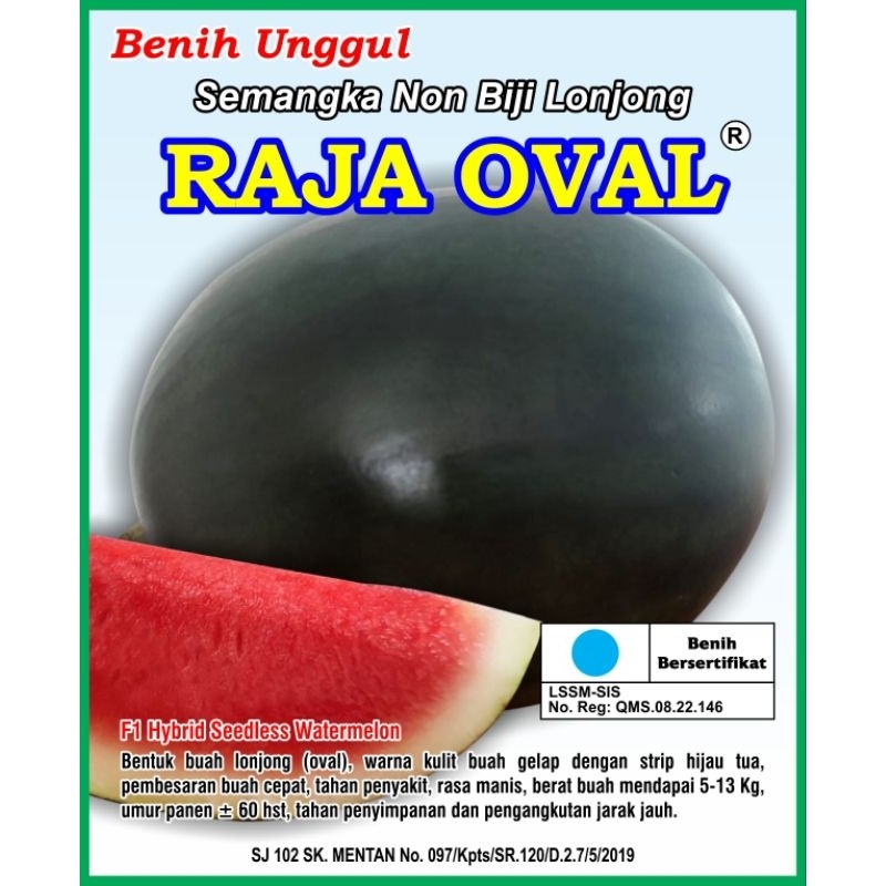 Benih semangka non biji merah lonjong kulit gelap