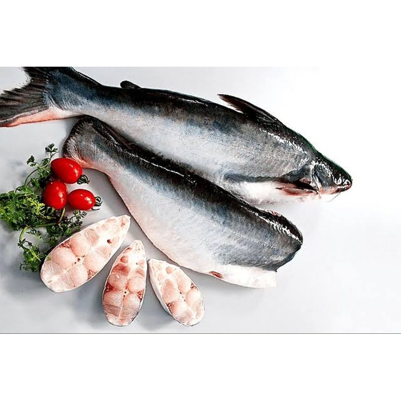 

Ikan Patin Fresh / Bukan Frozen