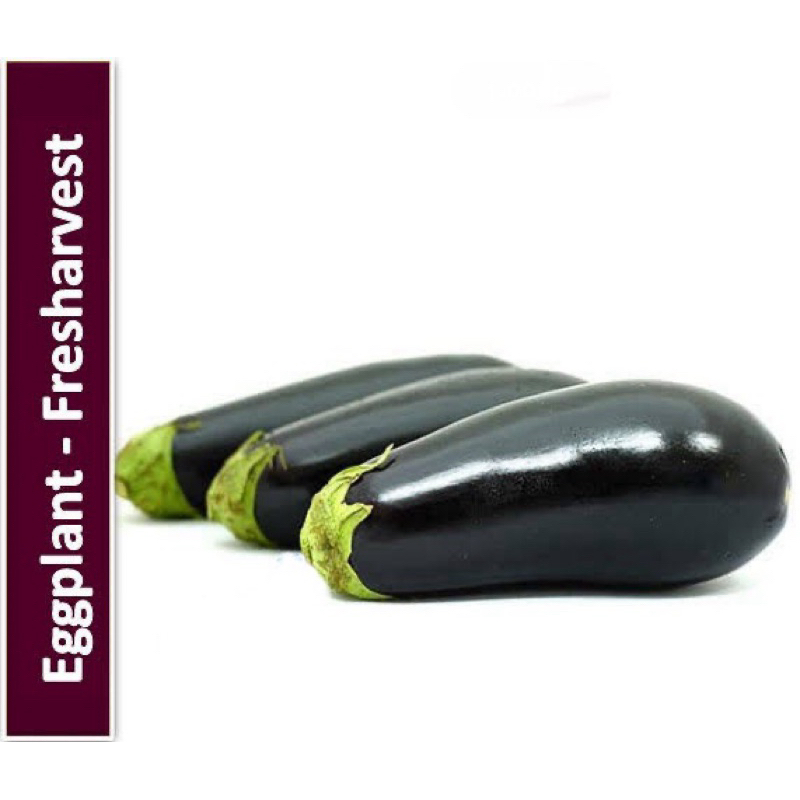 

[SATUAN] FRESHARVEST Terong Australia