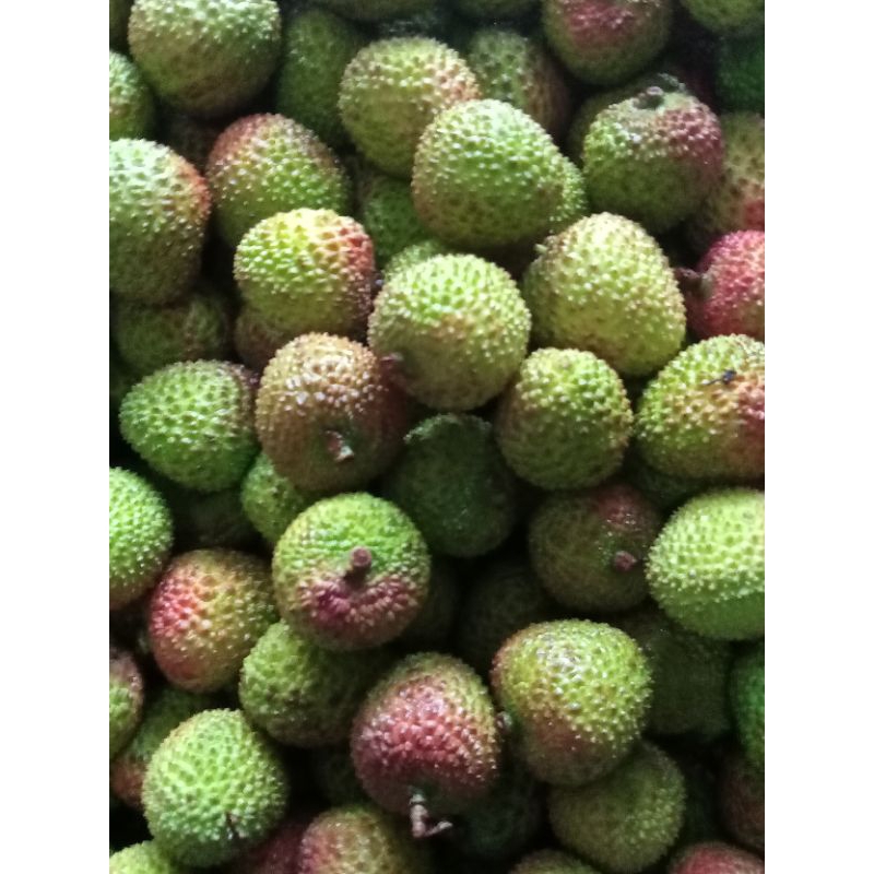 

BARU LECI | BUAH LECI | Leci madu | Leci bandung | Buah segar | vegespot | Fresh Lychee| Green Lychee | leci 250 gram