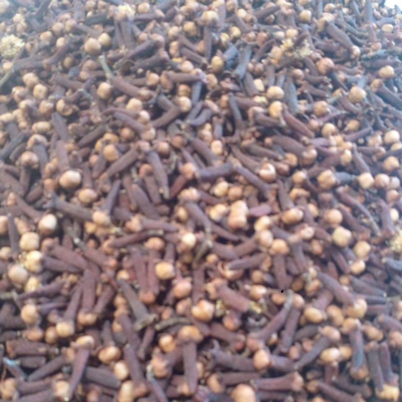 

Cengkeh kering Murah 70gram