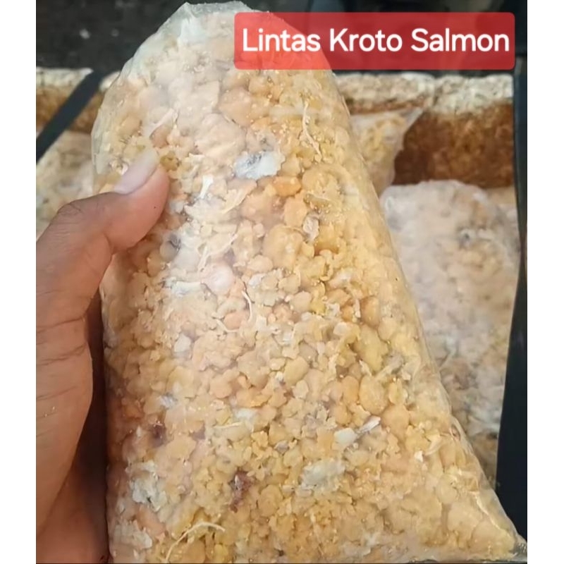 

Otak Kepiting Rajungan