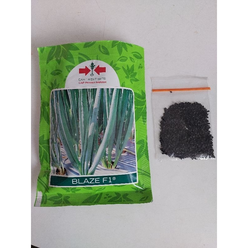 Benih Repack Bawang Daun BLAZE F1 isi 1000 Biji