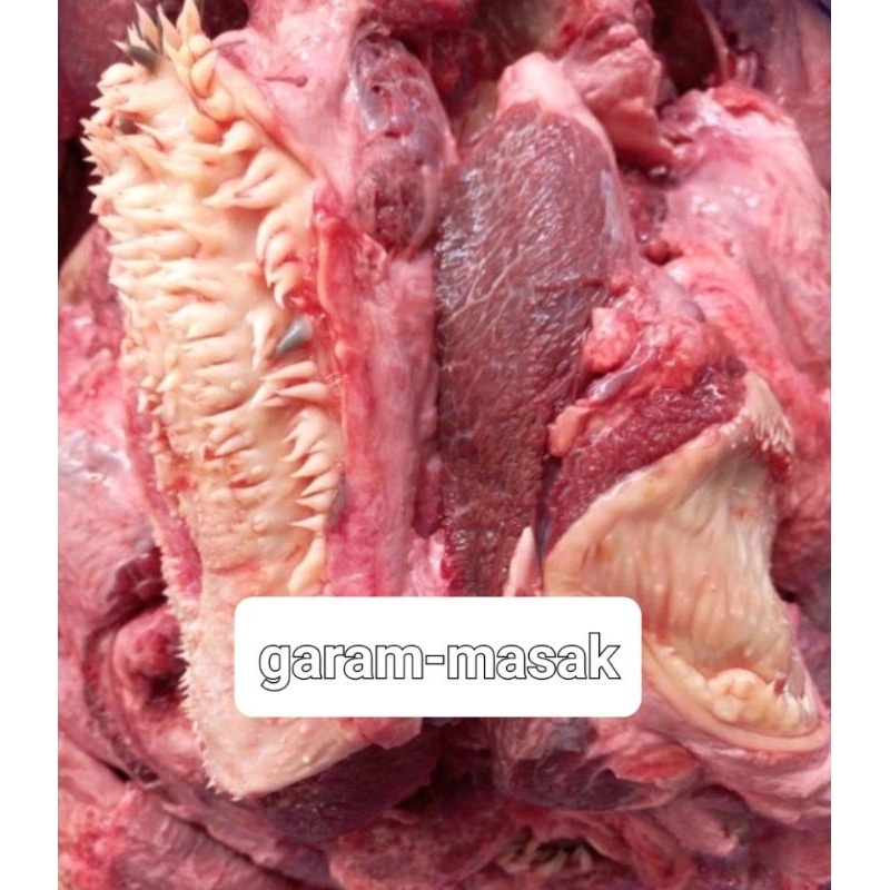 DAGING CINGUR LIPS 1KG DAGING KEPALA SAPI.