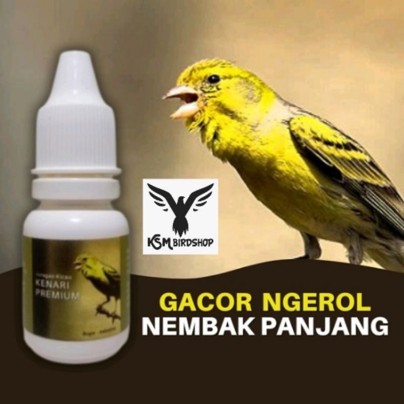 Vitamin Burung Kenari Premium Harian Macet Bunyi Biar Cepat Gacor