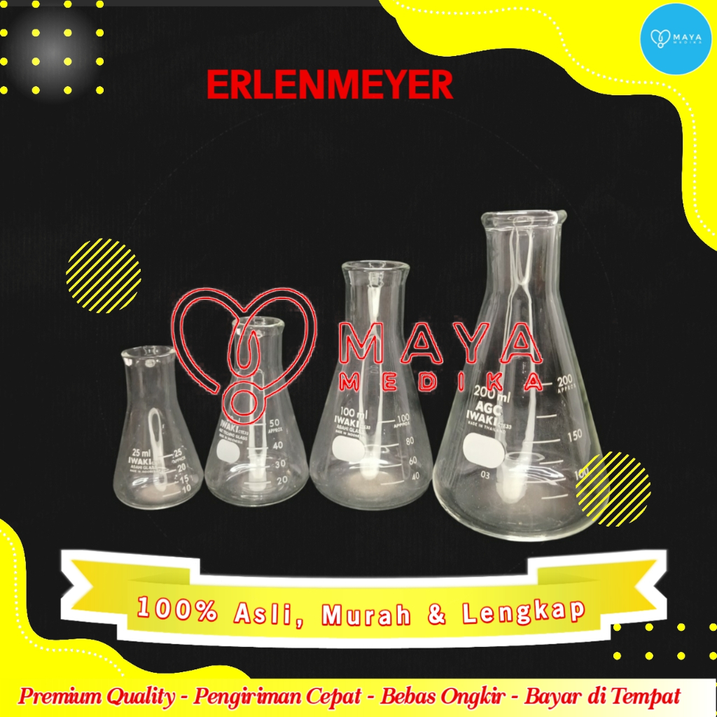 Erlenmeyer 250 cc / Iwaki