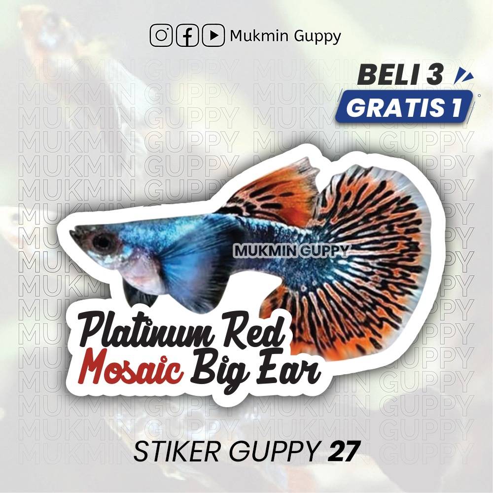 

Stiker Guppy (15) Platinum Red Mosaic Big Ear