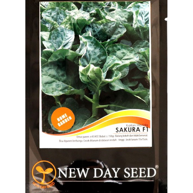 Stok terbaru Benih Kailan  Sakura F1 New Day Seed