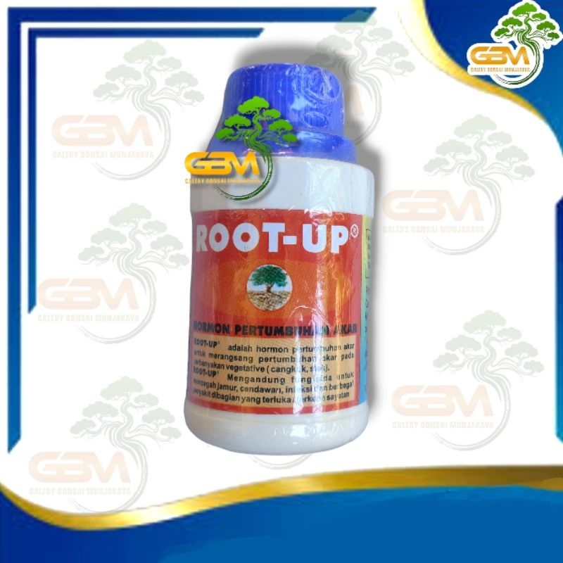 ROOT UP hormon pertumbuhan akar